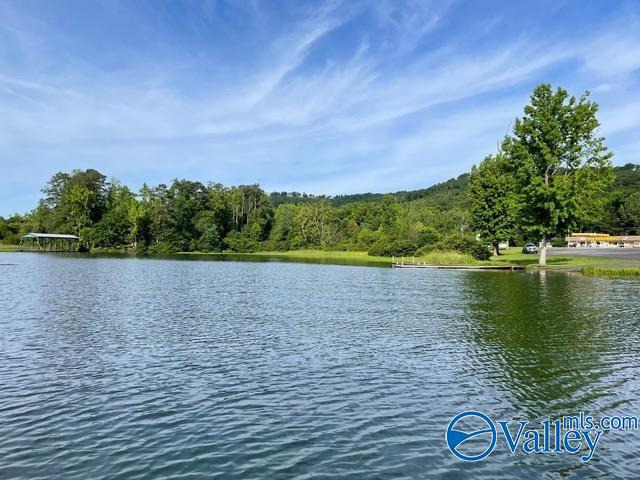 6 Acres Pine Island Point, Scottsboro, Alabama image 1