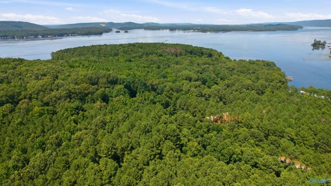 Vacant Land For Sale - 605 John Cabaniss Road<br/> Jackson County, Langston, AL 35755