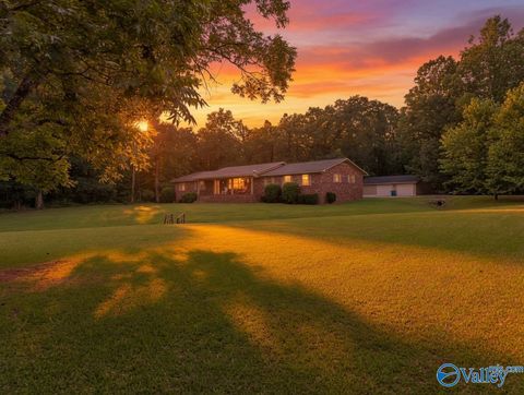 Homes For Sale - 716 King Road<br/> Blount County, Oneonta, AL 35121