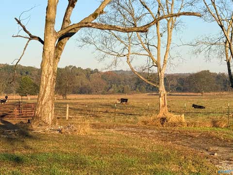 Homes For Sale - 53 ACRES County Road 41<br/> Danville, AL 35619