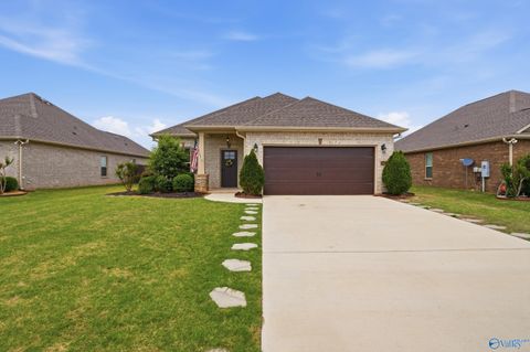 Photo of 17435 Fieldway Circle, Harvest, AL 35749 (MLS # 21917509)