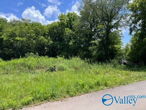 Vacant Land For Sale - 1310 SW 21st Avenue<br/> Morgan County, Decatur, AL 35601