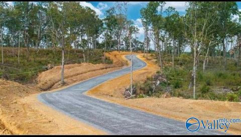 Vacant Land For Sale - TRACT 22.2 County Road 9114<br/> Mentone, AL 35984