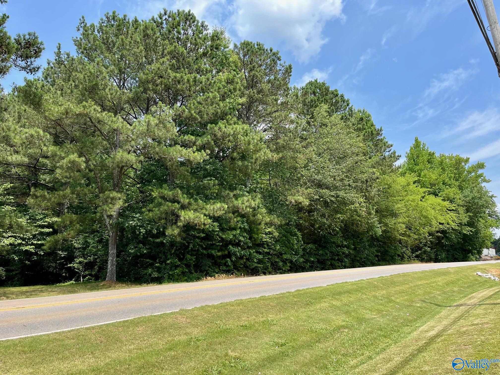 3.4 Acre Balch Road, Madison, Alabama image 4