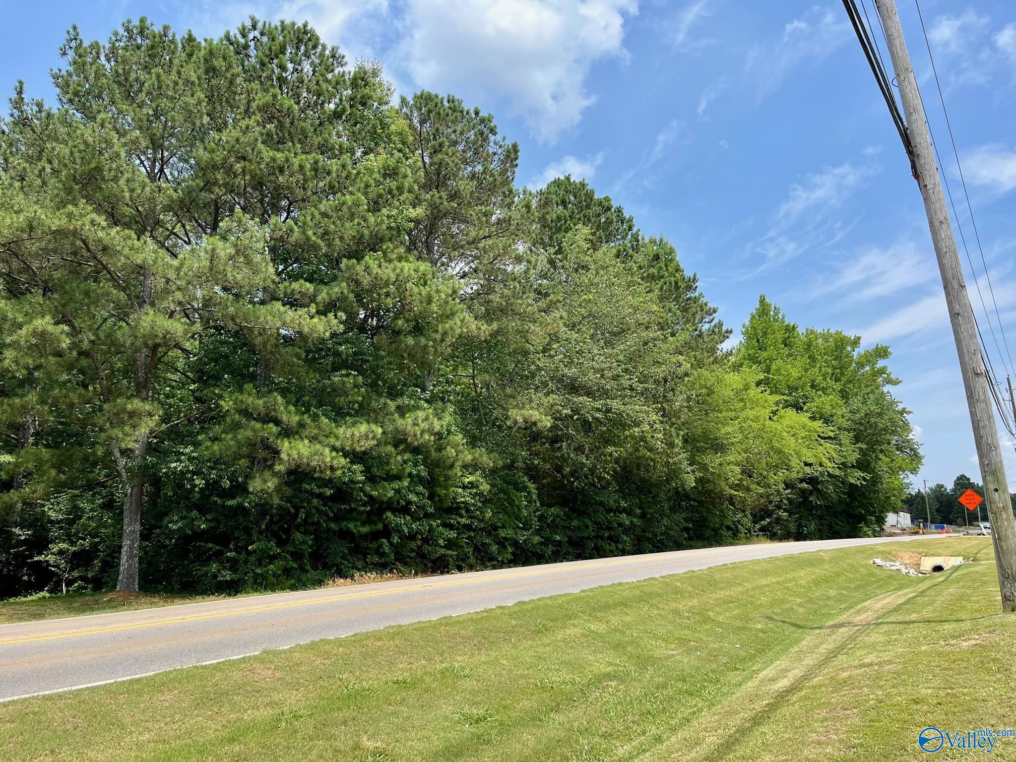 3.4 Acre Balch Road, Madison, Alabama image 5