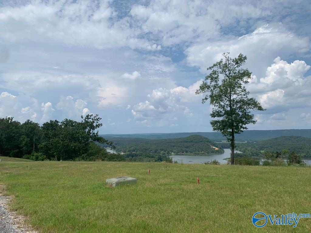 Lot 312 County Road 767 #312, Cedar Bluff, Alabama image 6