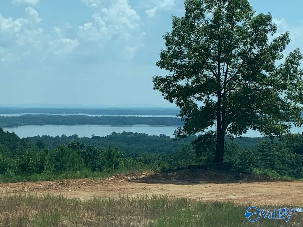 Lot 312 County Road 767 #312, Cedar Bluff, Alabama image 3