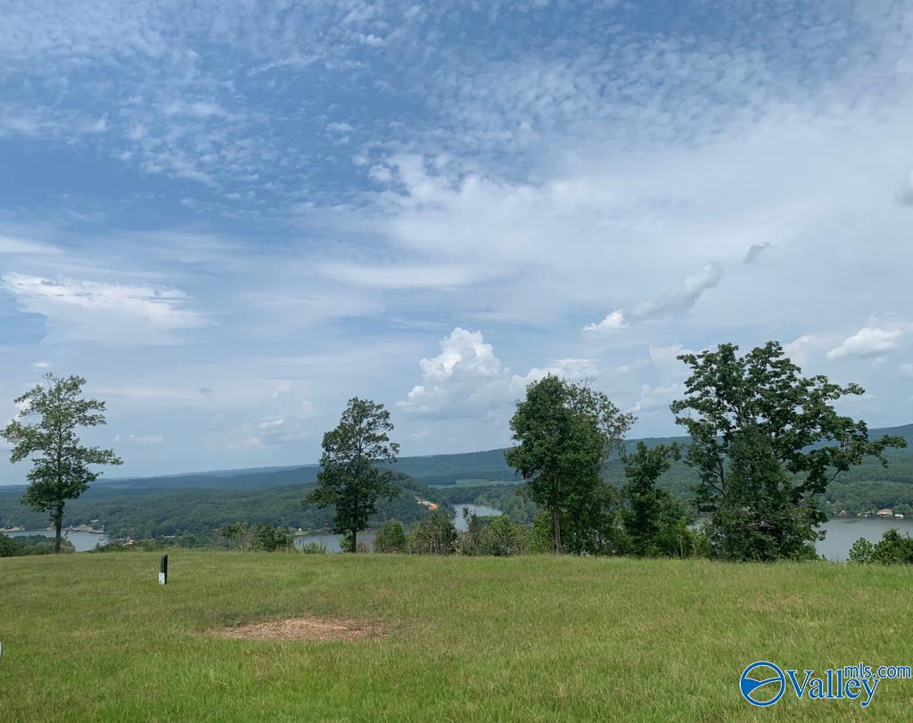 Lot 312 County Road 767 #312, Cedar Bluff, Alabama image 5