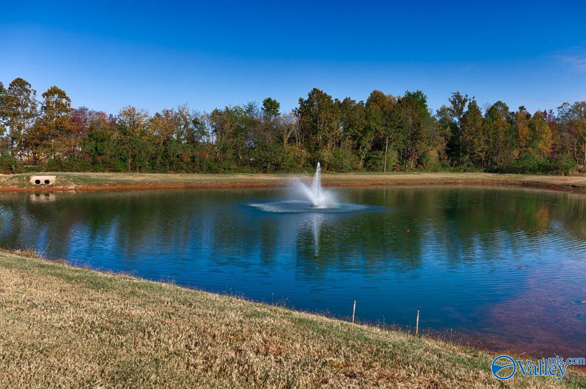 118 Front View Circle, Harvest, Alabama image 35