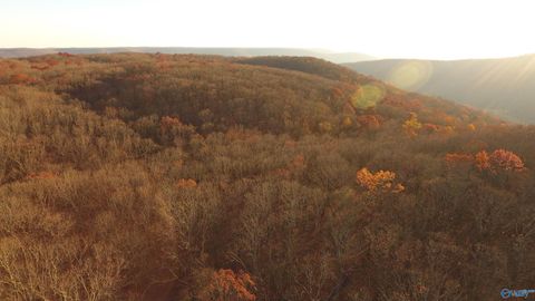 Vacant Land For Sale - 245 AC County Road 106<br/> Jackson County, Trenton, AL 35774