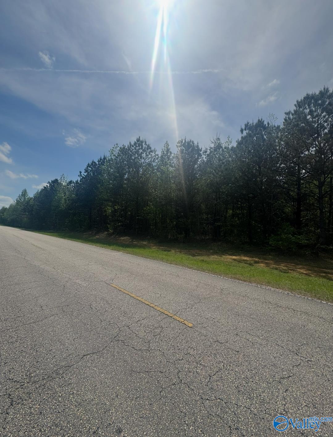 40 County Highway 25, Hamilton, Alabama image 8