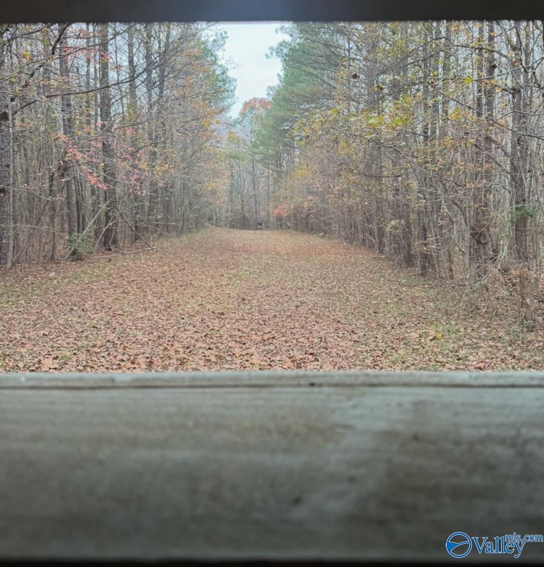 40 County Highway 25, Hamilton, Alabama image 3
