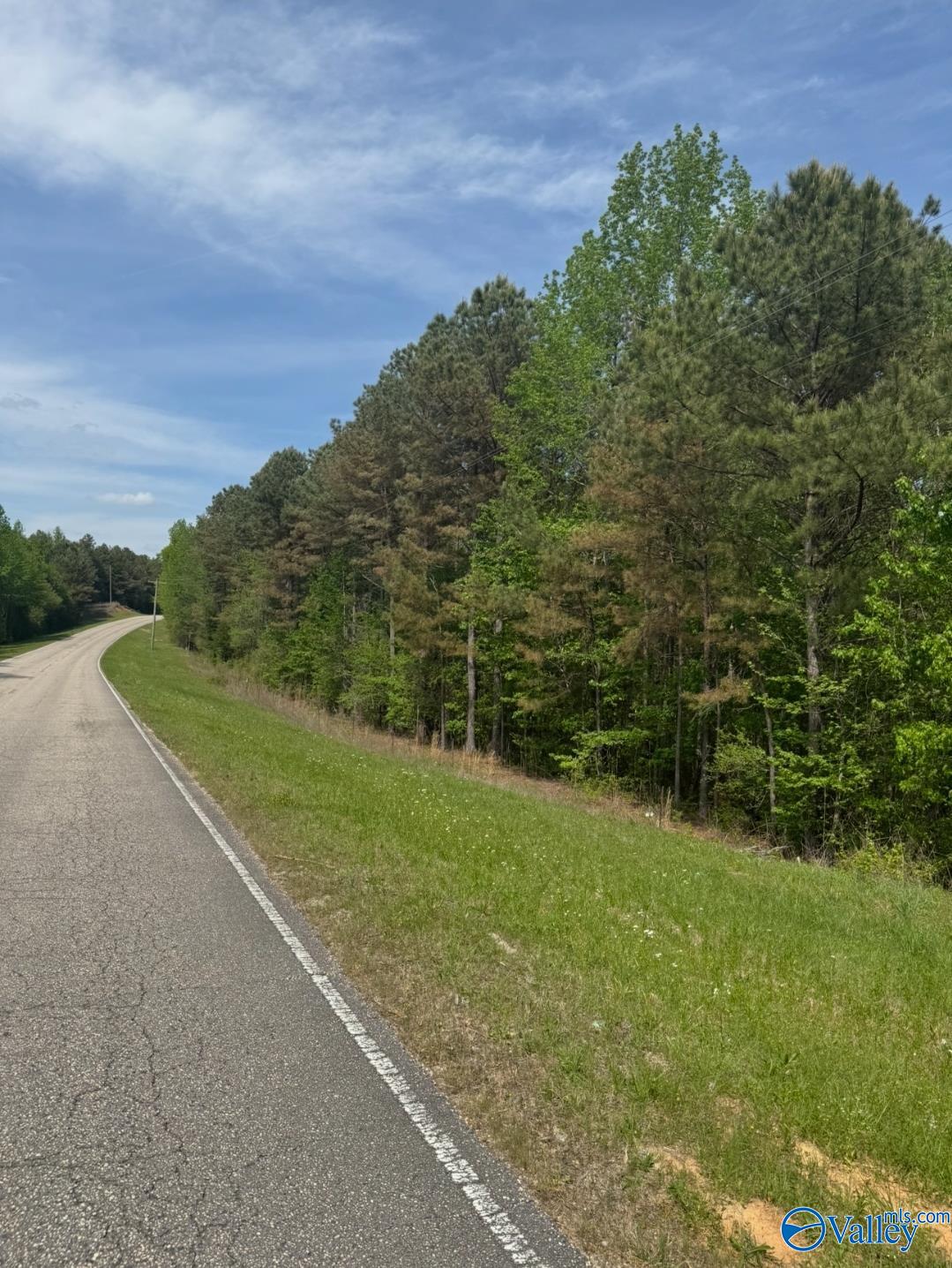 40 County Highway 25, Hamilton, Alabama image 4