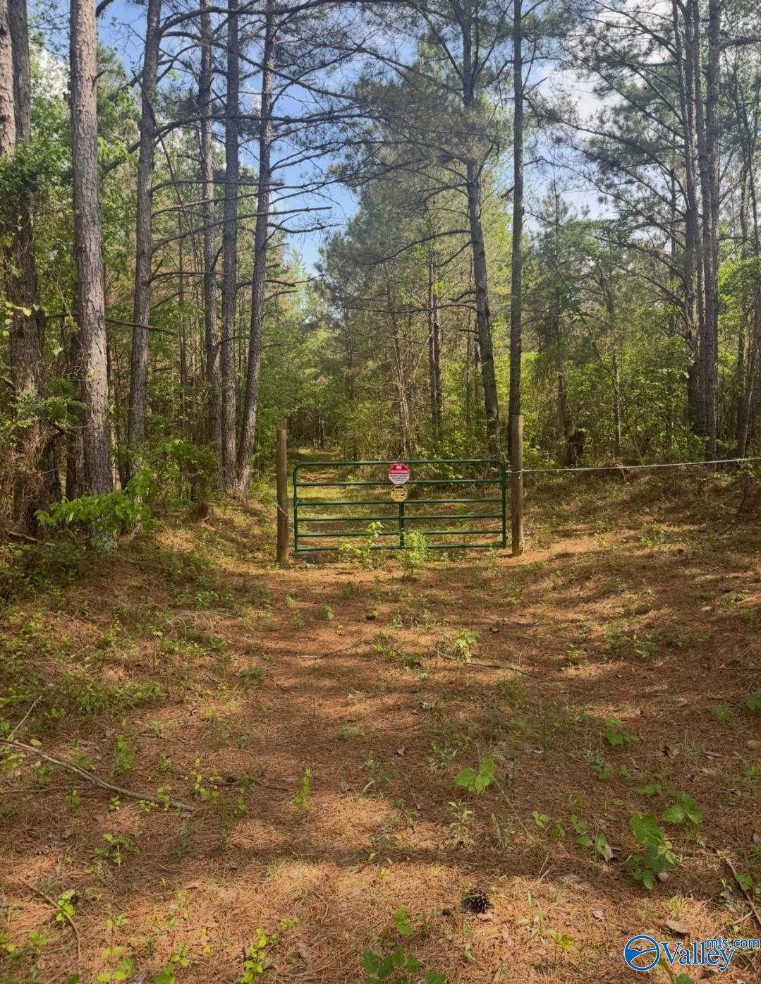 40 County Highway 25, Hamilton, Alabama image 6