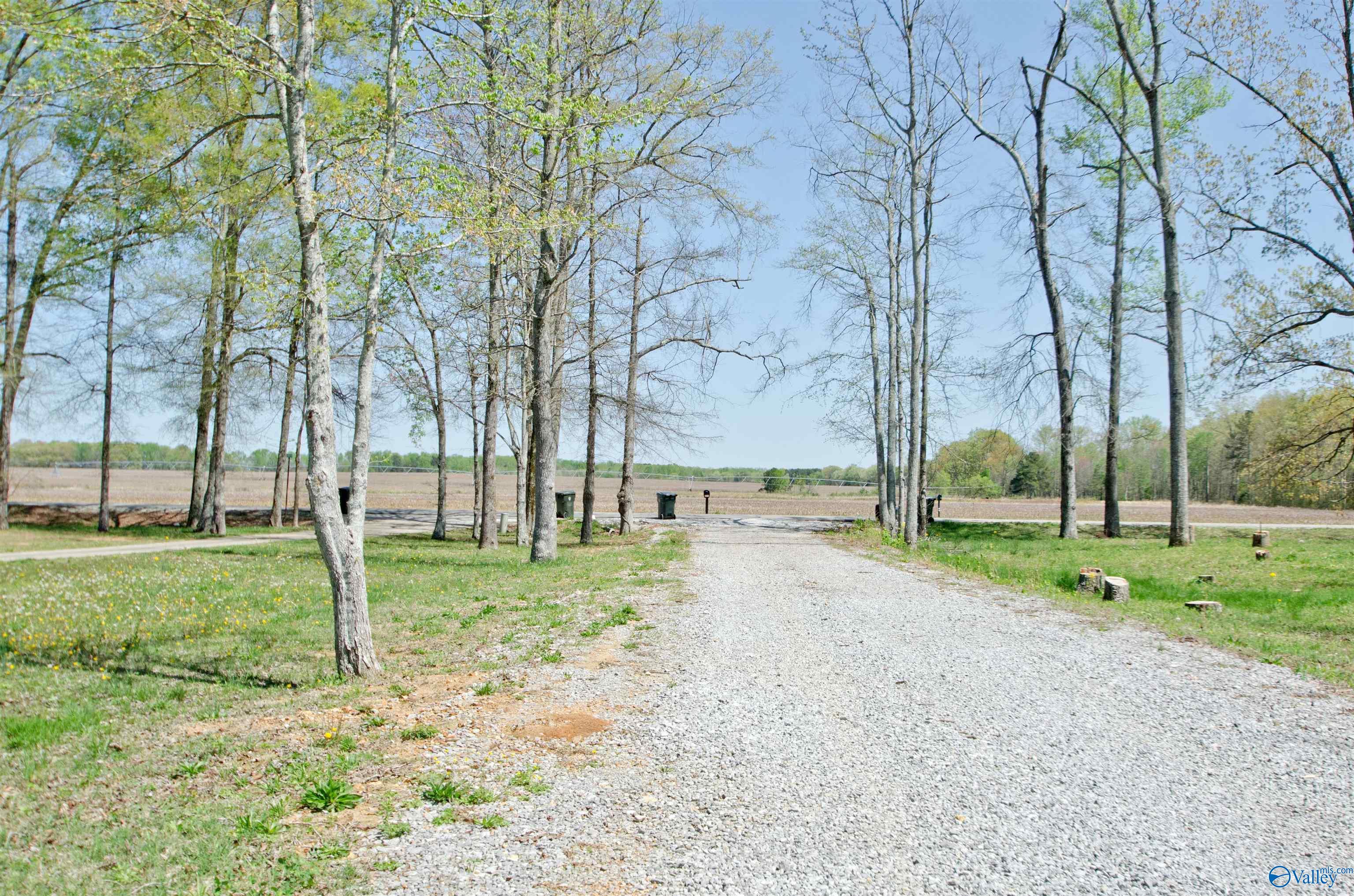 11732-A Wall Triana Hwy, Ardmore, Alabama image 6