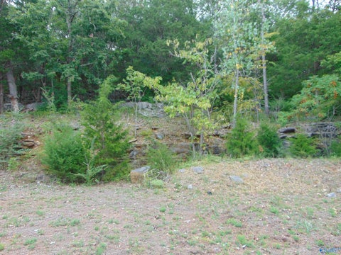 Vacant Land For Sale - 7739 SE Donegal Drive<br/> Huntsville, AL 35802