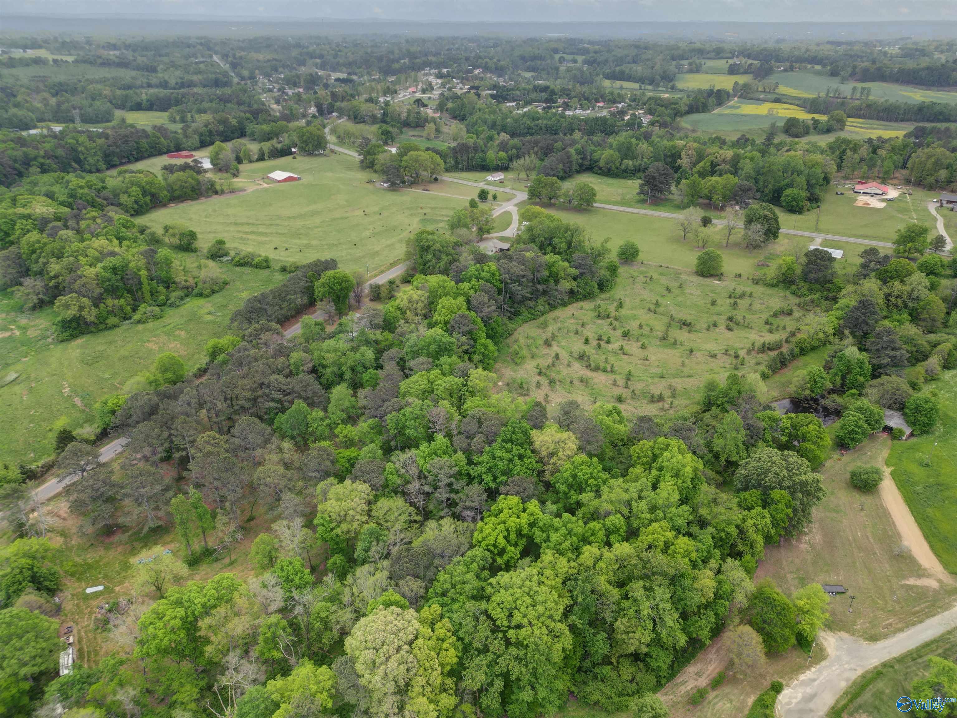73 County Road 82, Albertville, Alabama image 39