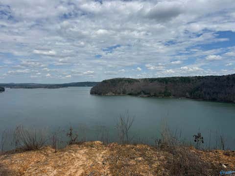 Vacant Land For Sale - LOT 9 County Road 446<br/> Crane Hill, AL 35053