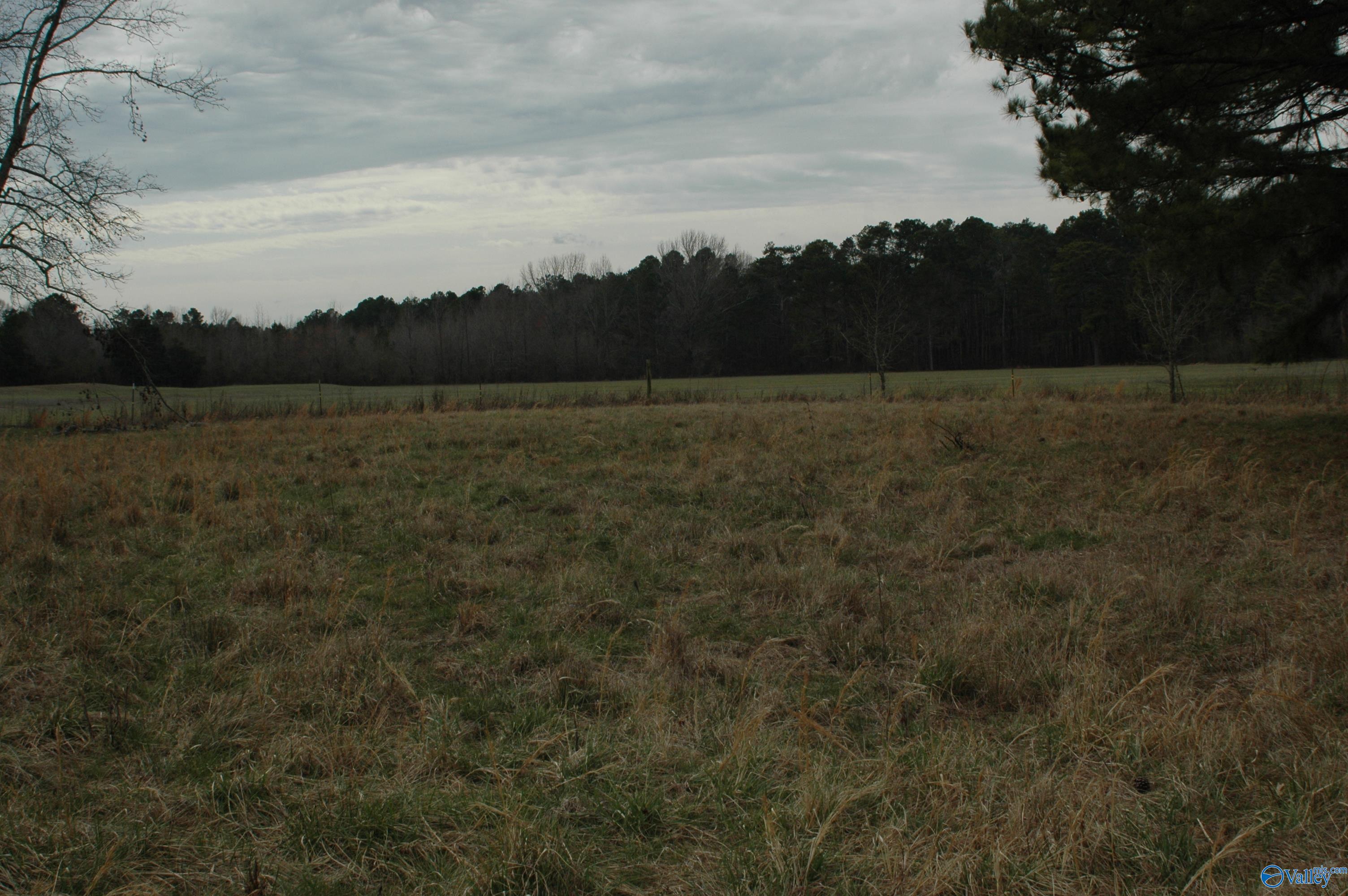 26691 Lambert Road, Elkmont, Alabama image 5