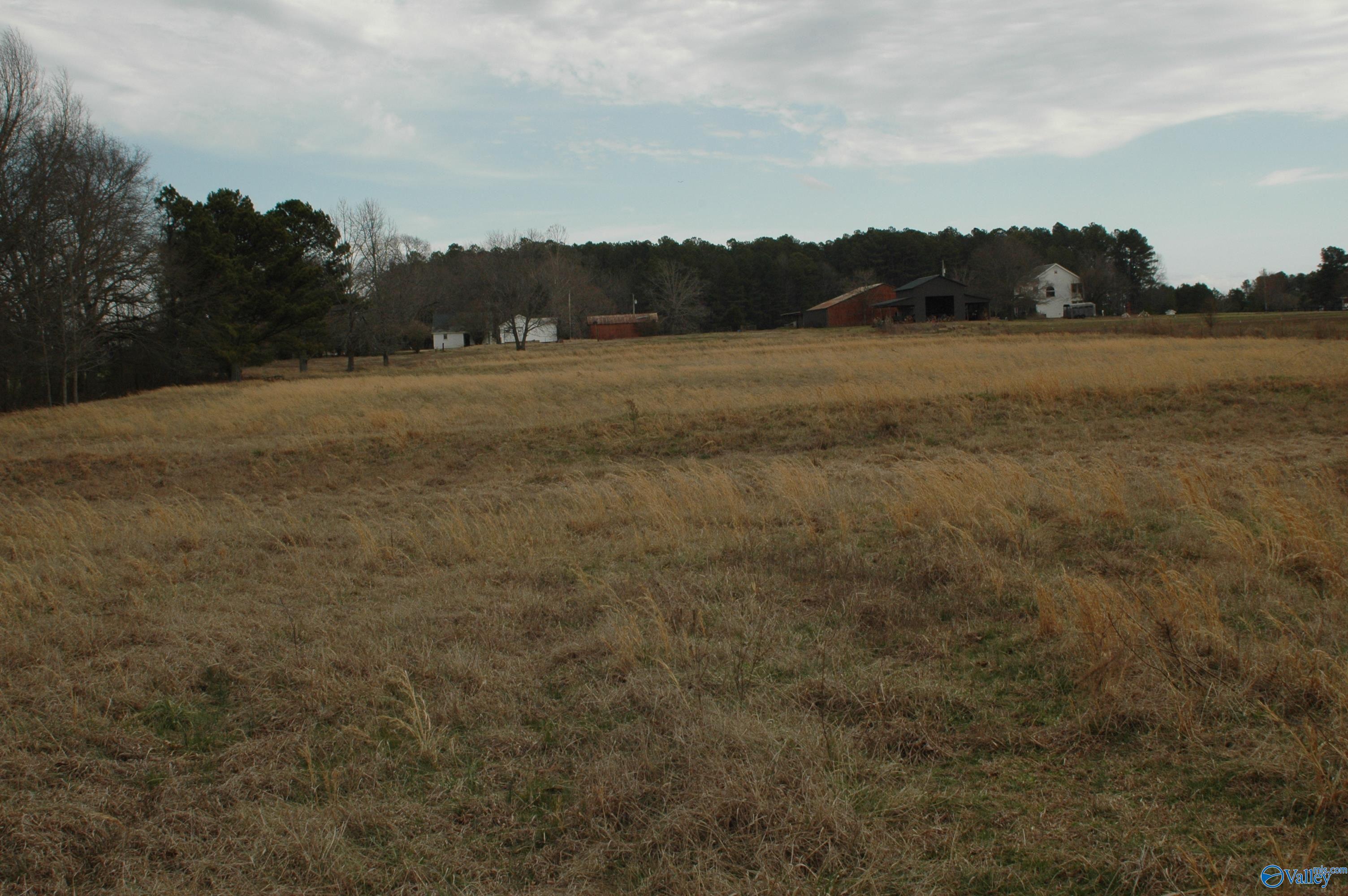 26691 Lambert Road, Elkmont, Alabama image 3