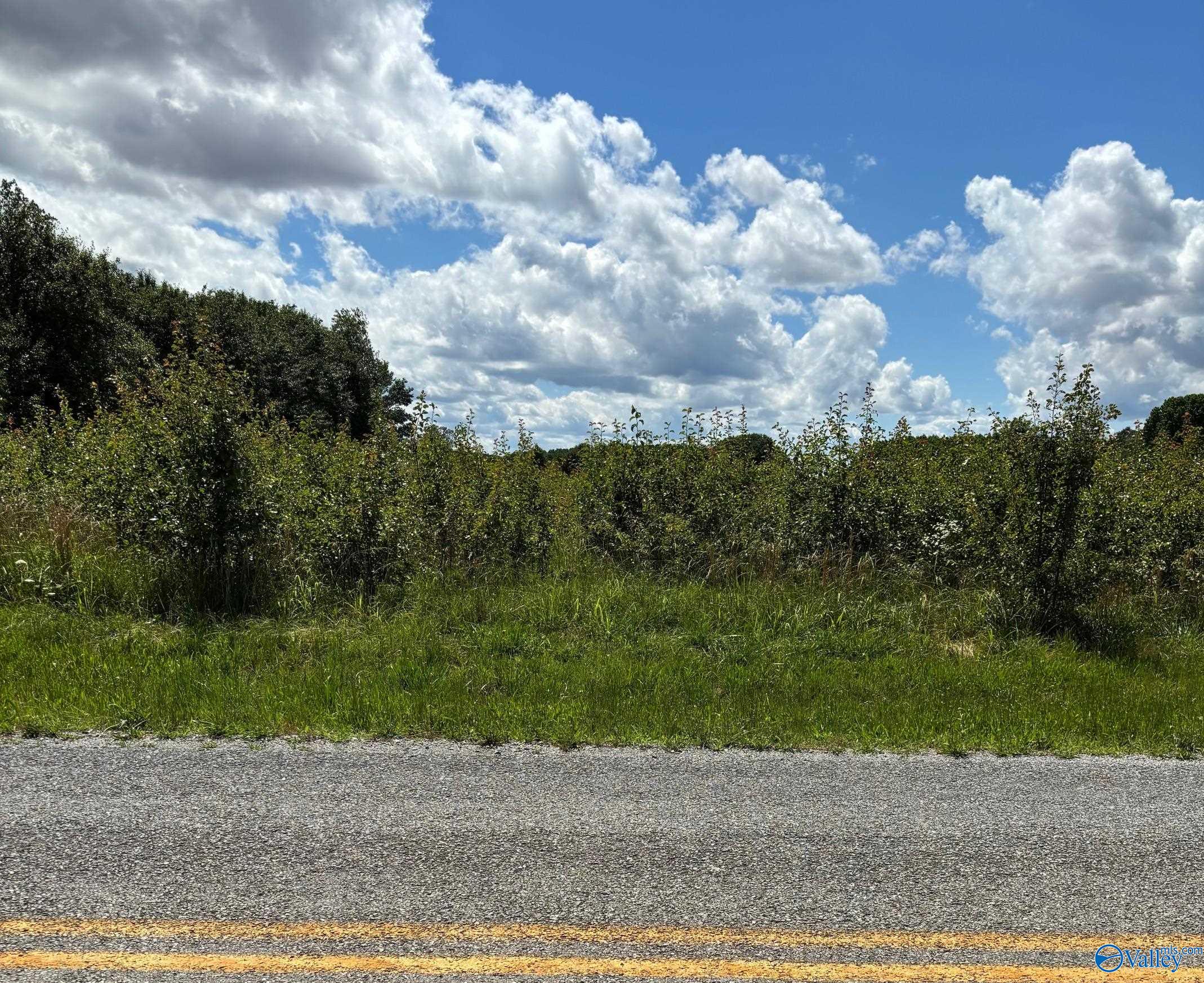Lot 16 Vanzille Lane, Athens, Alabama image 1