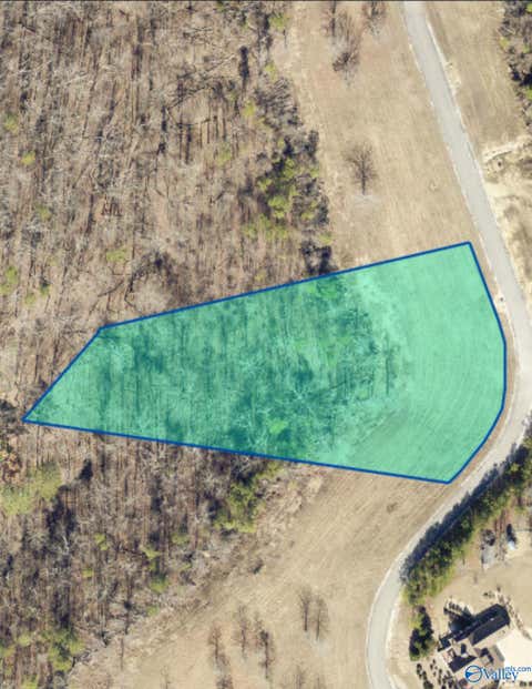 Vacant Land For Sale - LOT 49 County Road 767 #49<br/> Cedar Bluff, AL 35959