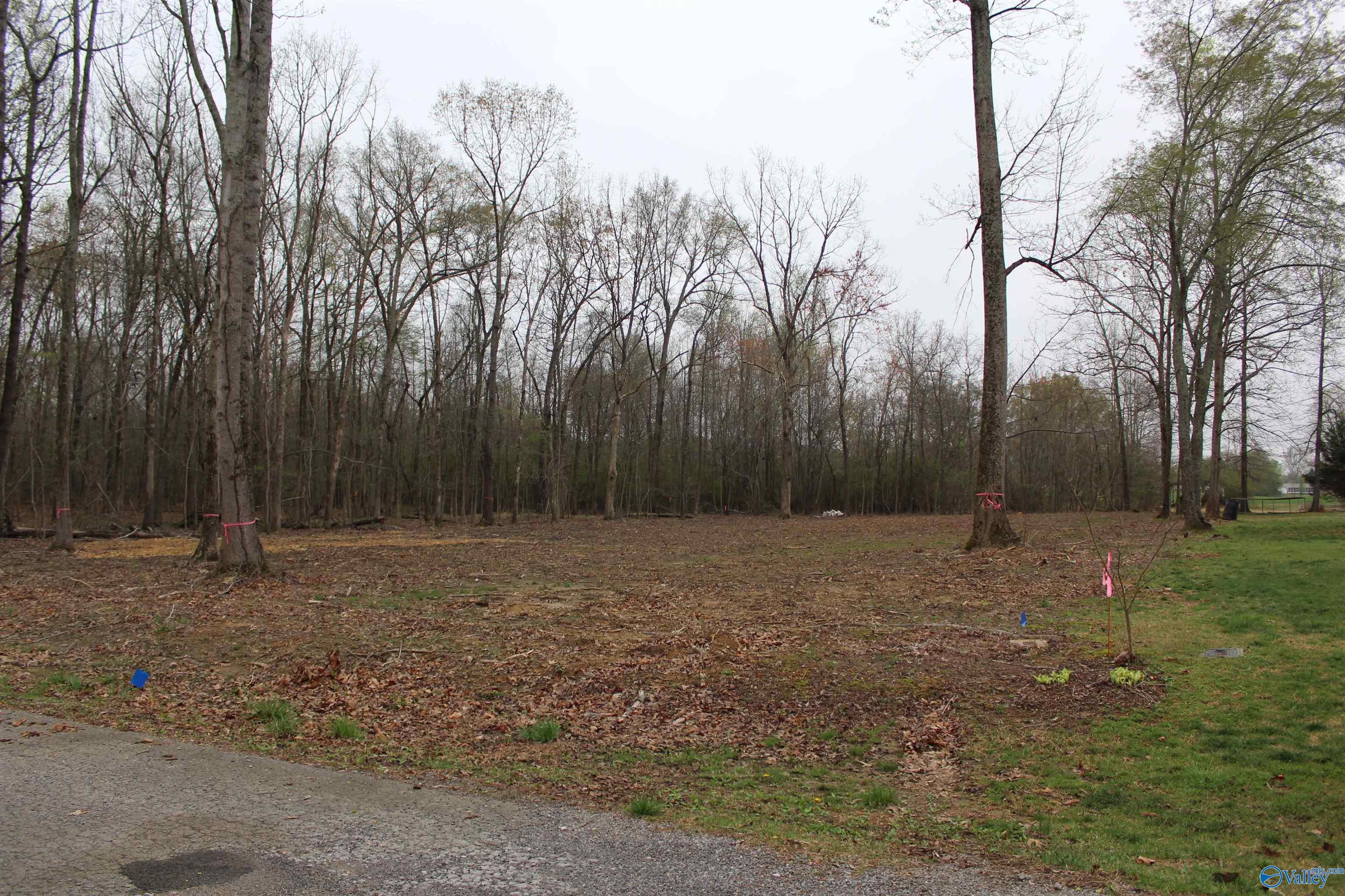 28402 Jessica Drive, Toney, Alabama image 2