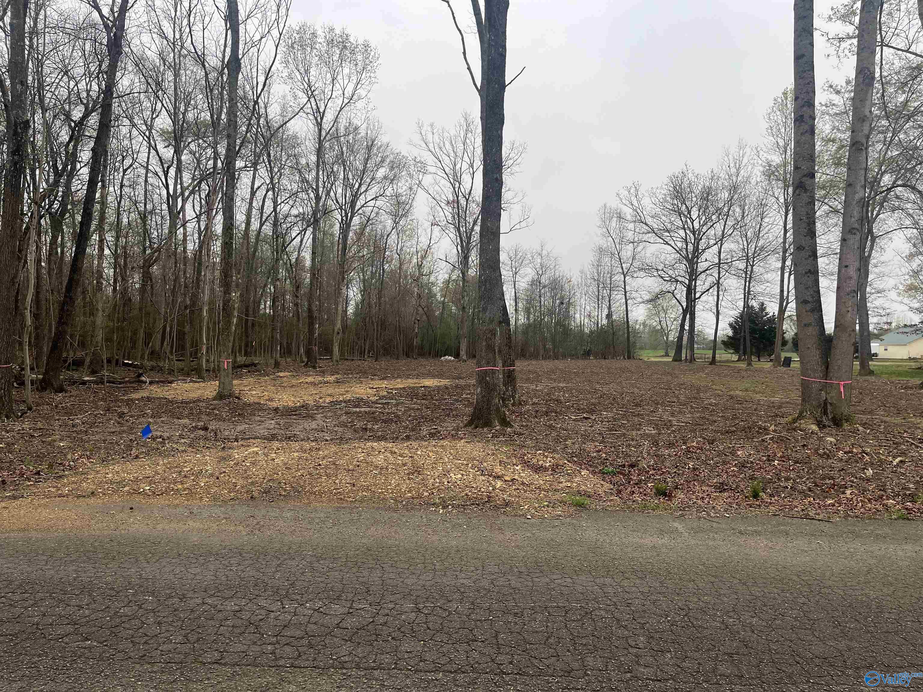 28402 Jessica Drive, Toney, Alabama image 1