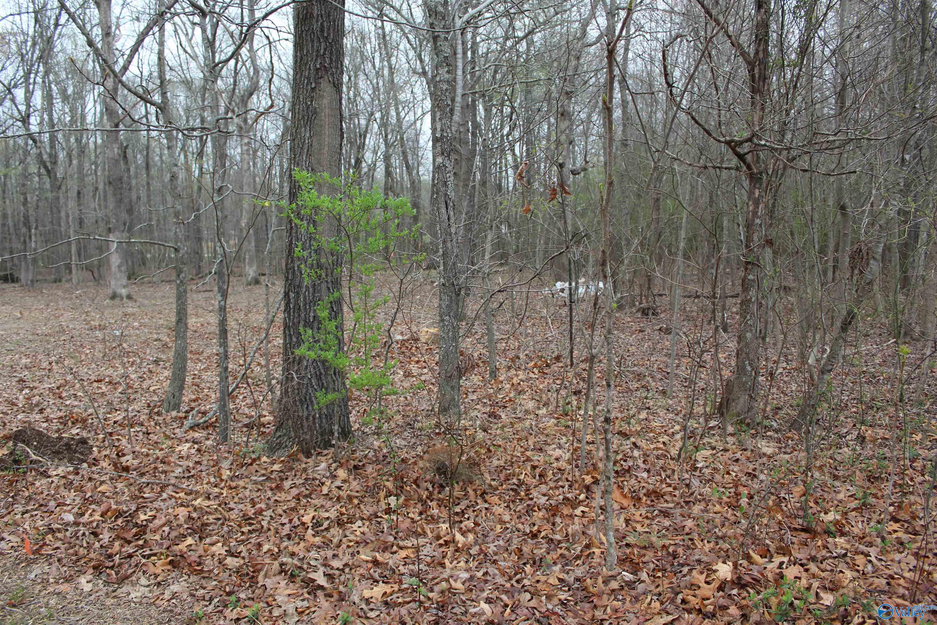 28402 Jessica Drive, Toney, Alabama image 5