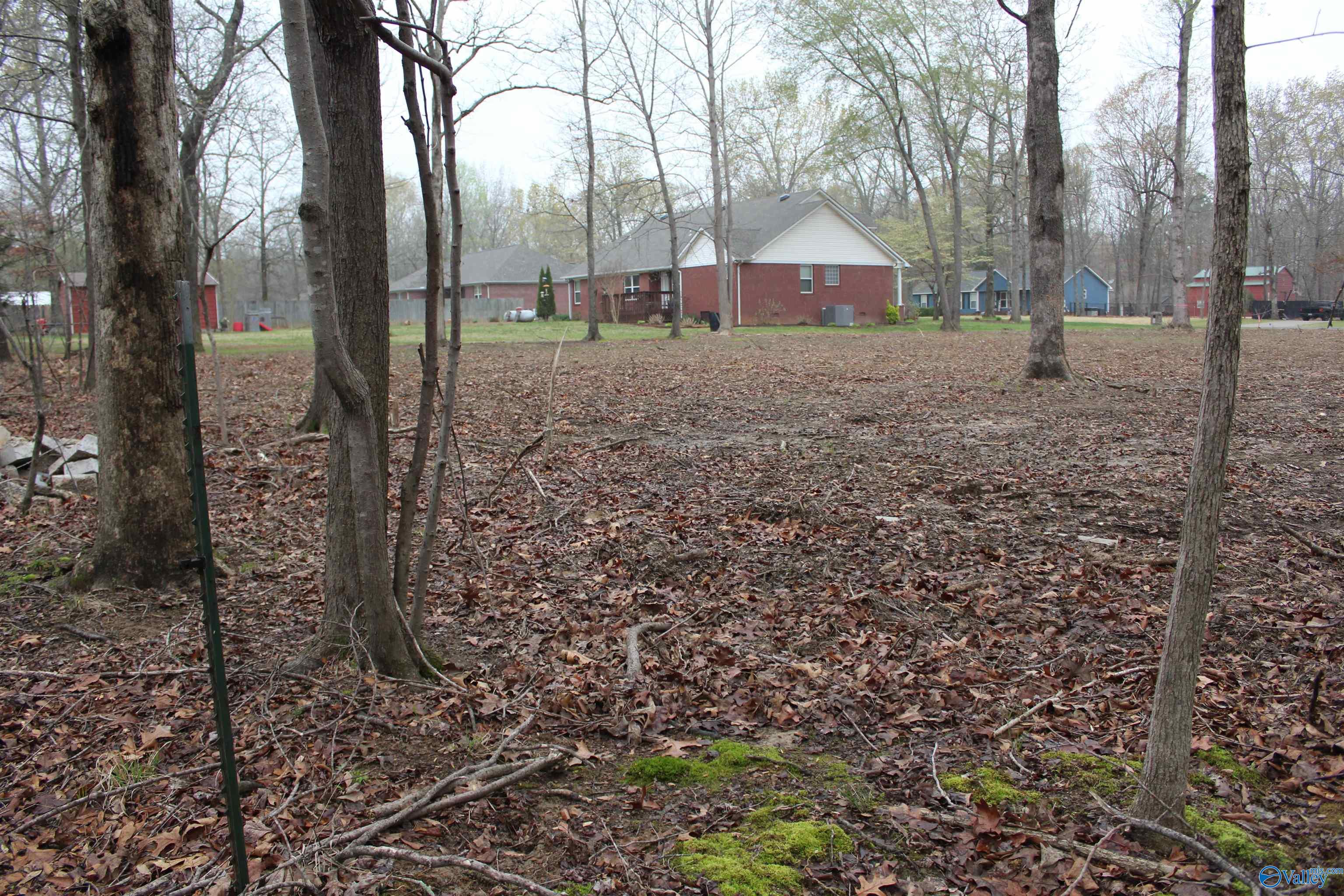 28402 Jessica Drive, Toney, Alabama image 6