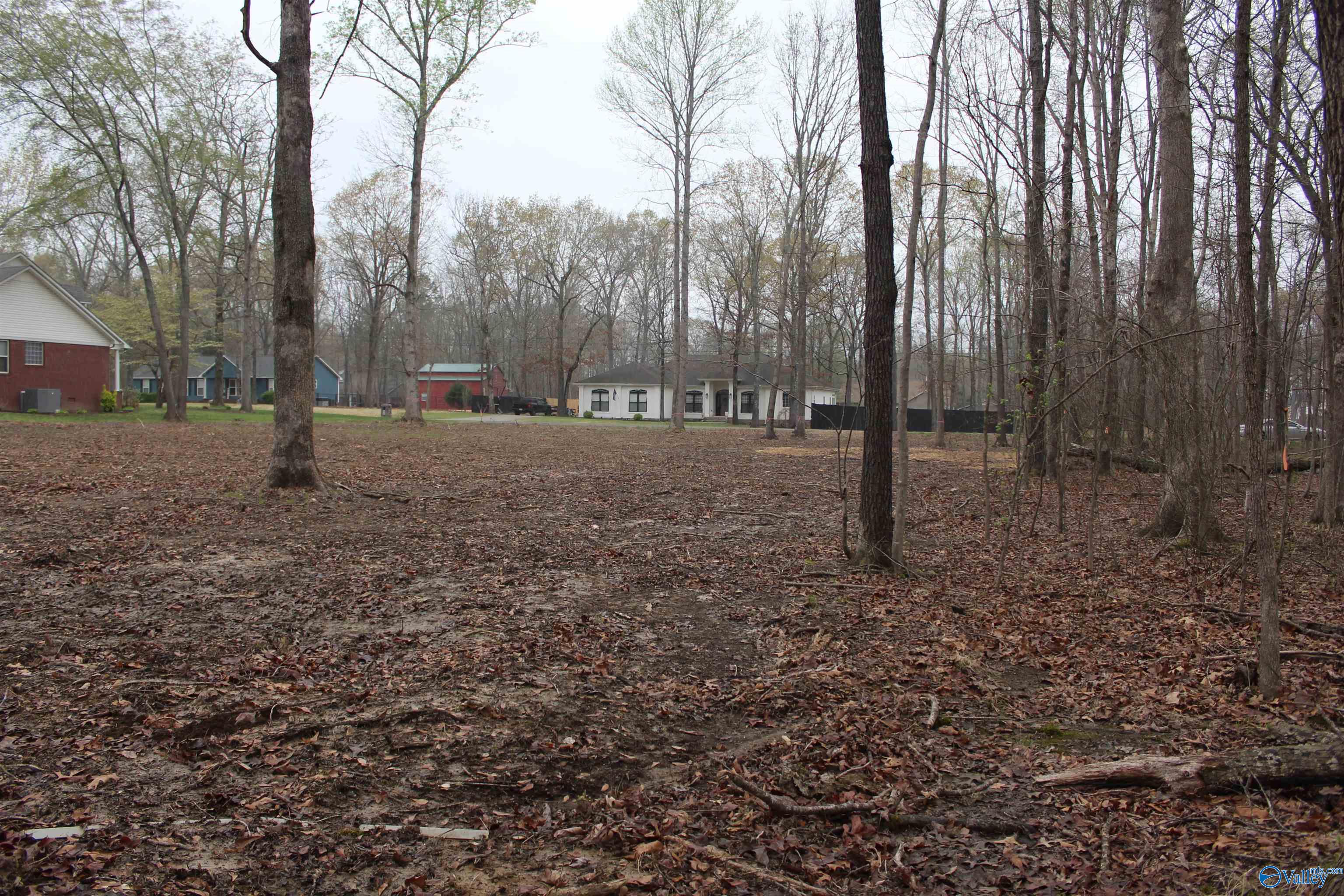 28402 Jessica Drive, Toney, Alabama image 7