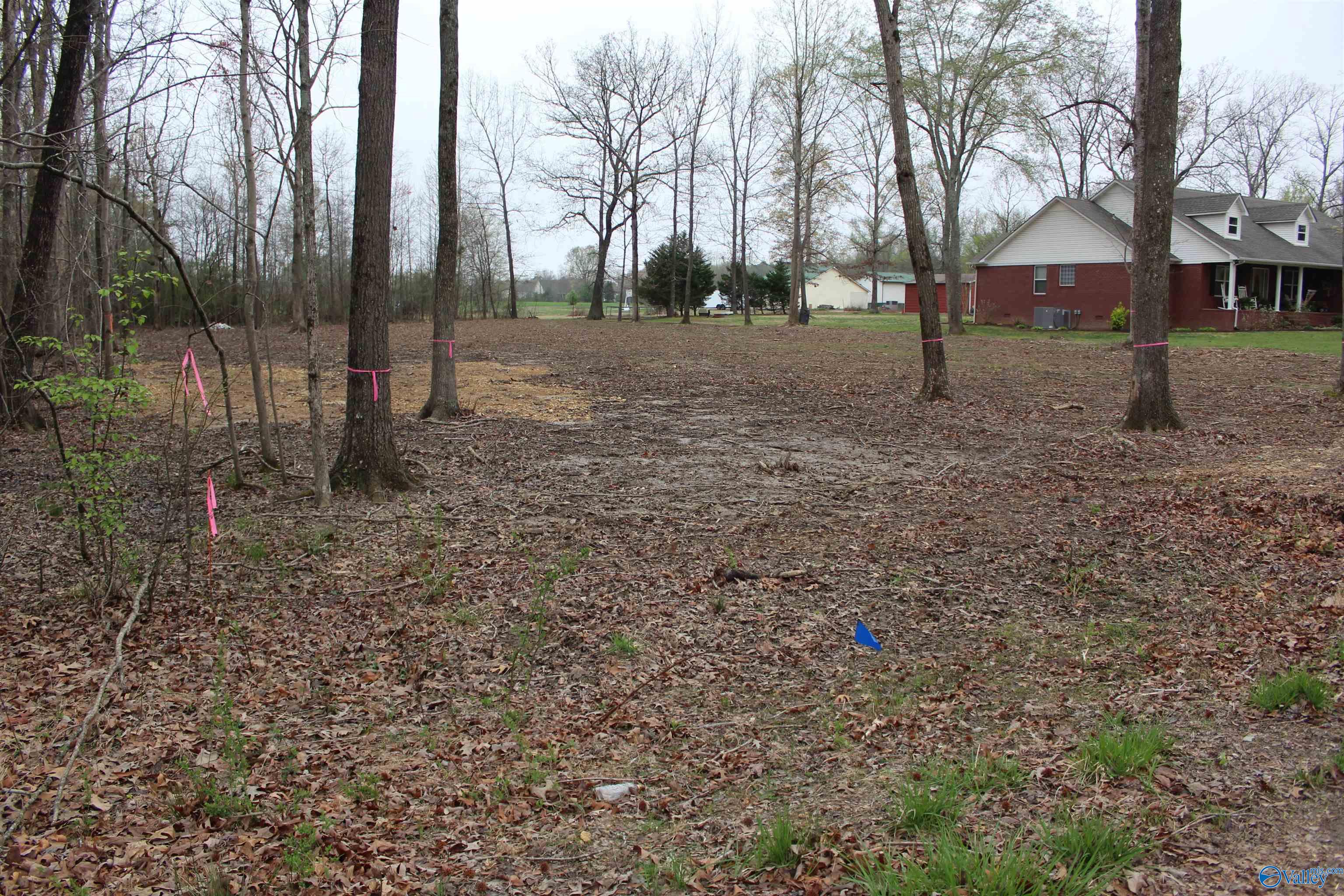 28402 Jessica Drive, Toney, Alabama image 3