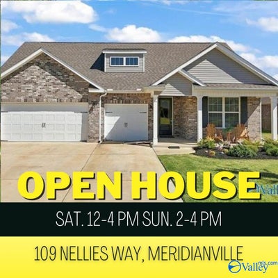 109 NELLIES WAY, MERIDIANVILLE, AL 35759 - Image 4270dab81230aa9547042dff19d4c8fd/1490652450