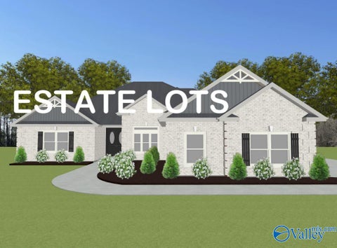 Homes For Sale - FLAGSTAFF B1 Grubbs Road<br/> Athens, AL 35611