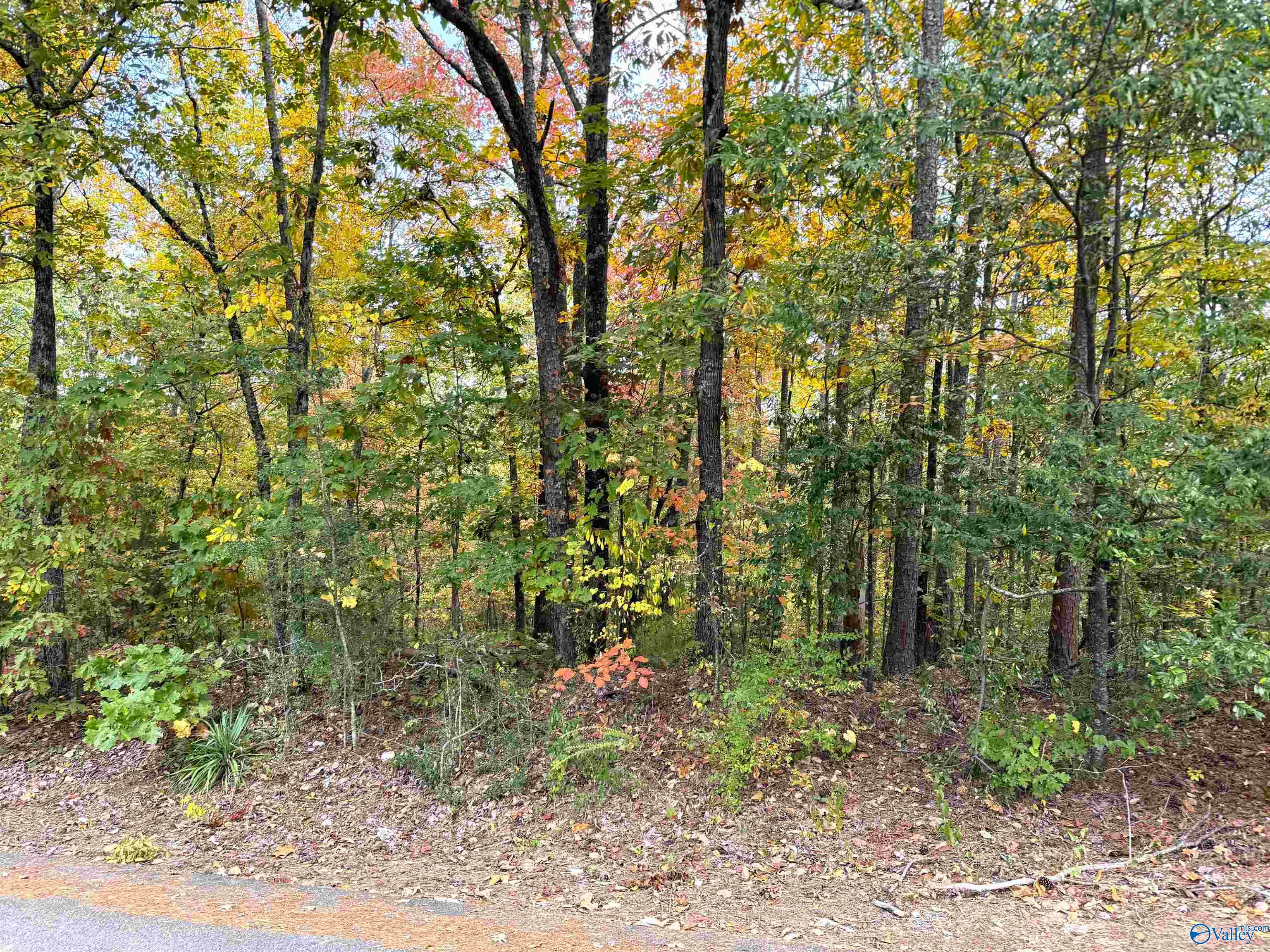 Lot 8 White Street, Gadsden, Alabama image 1