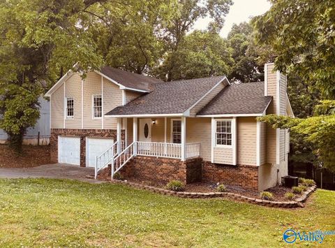 Photo of 209 Evalyn Street, Madison, AL 35758 (MLS # 21916938)