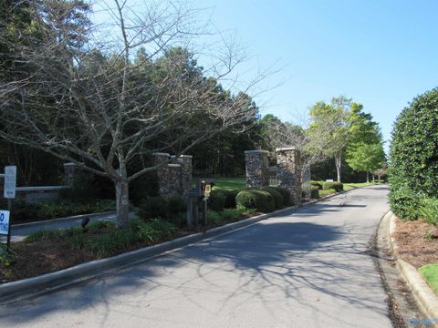 Vacant Land For Sale - LOT 115 County Road 182<br/> Crane Hill, AL 35053