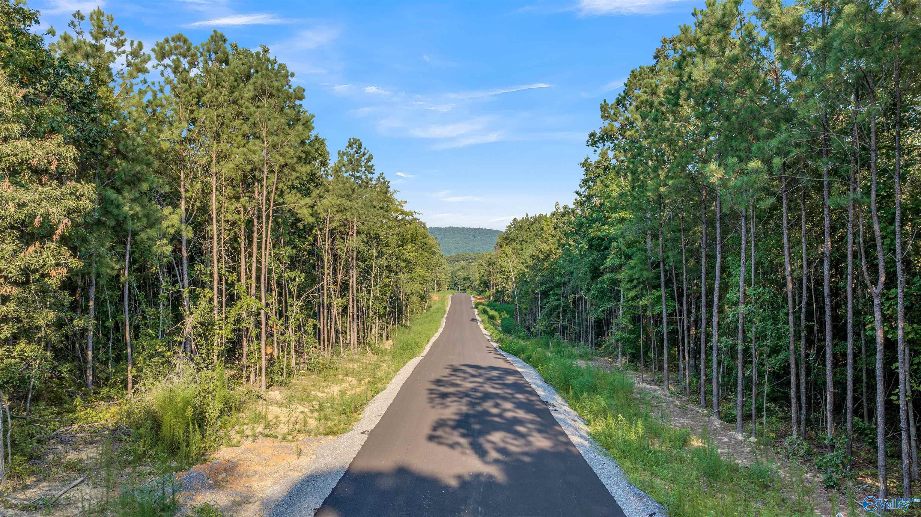 Lot #6 South Sauty Road, Langston, Alabama image 8