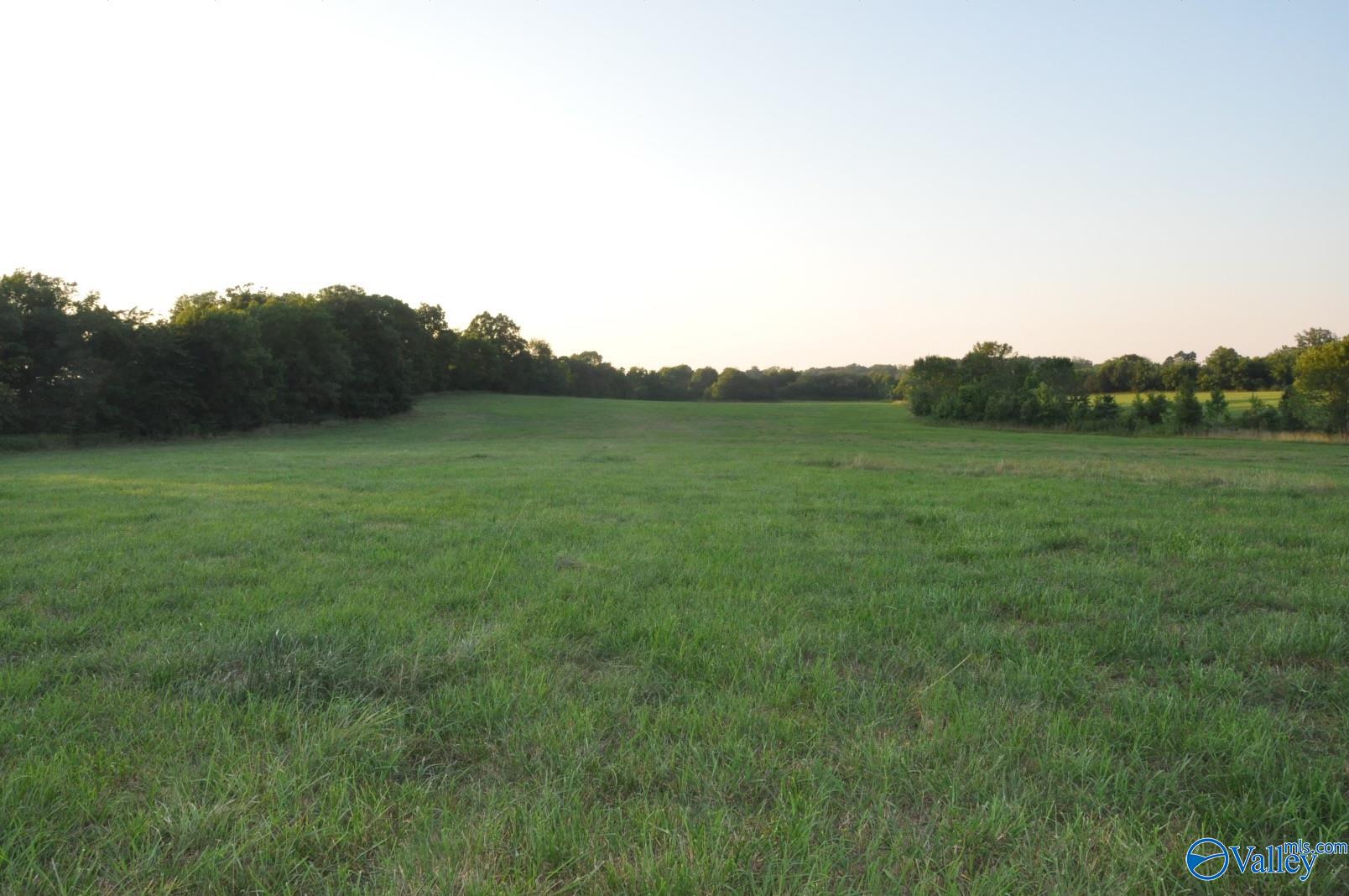 49 ACRES County Road 203, Danville, Alabama image 4