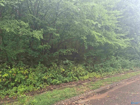 Vacant Land For Sale - 7609 Fox Fire Drive<br/> Madison County, Huntsville, AL 35802
