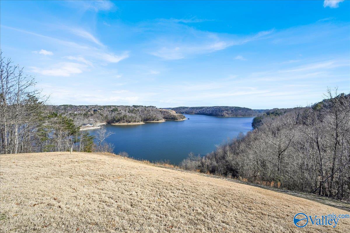 140 County Road 360, Cullman, Alabama image 33