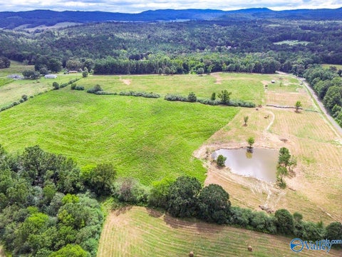 Vacant Land For Sale - 1470 Chamblee Mill Road<br/> Blountsville, AL 35031