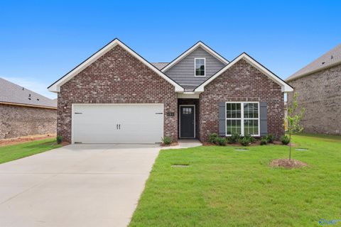 Photo of 104 Fall Meadow Drive, Harvest, AL 35749 (MLS # 21905491)