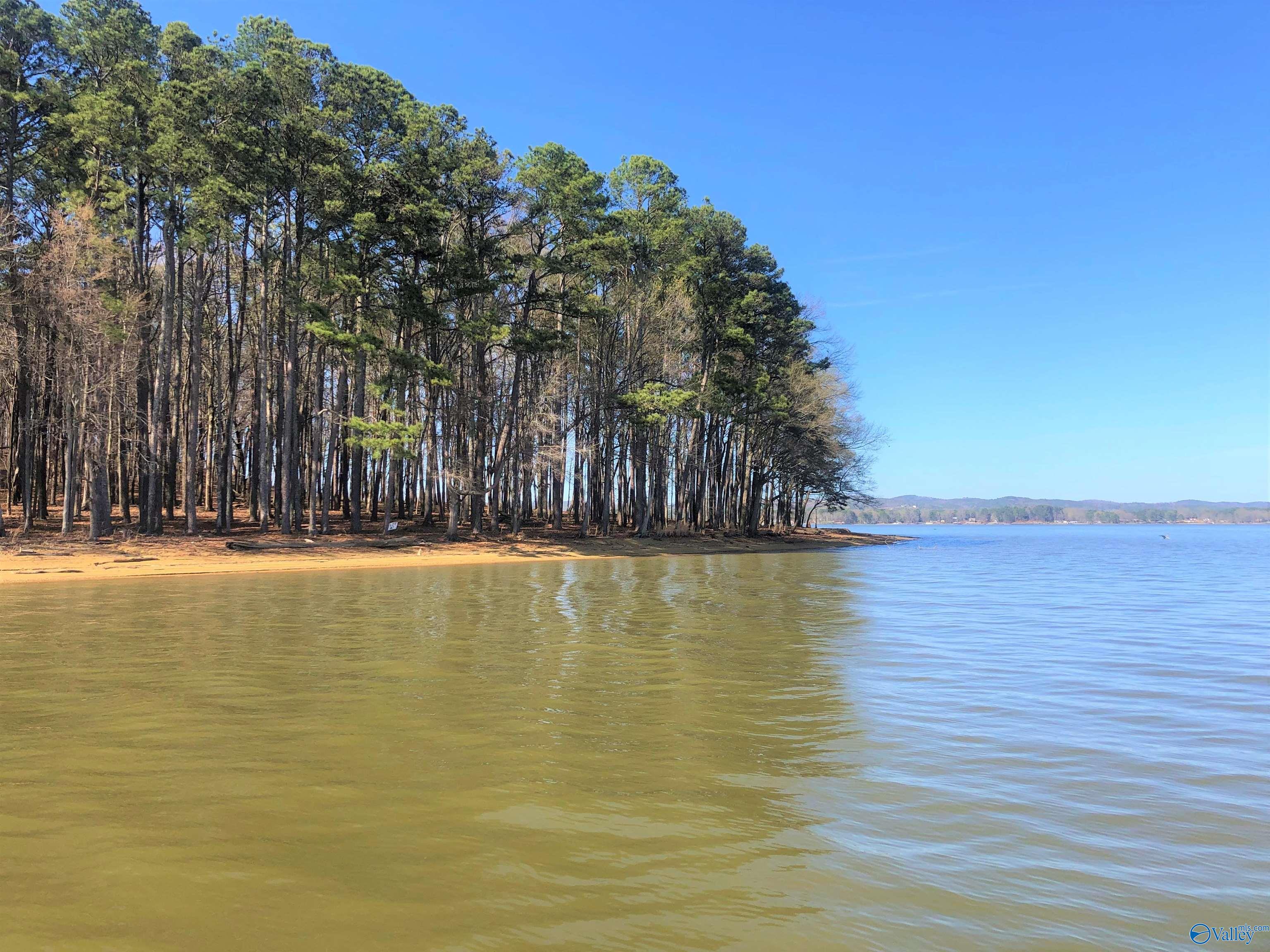 Lot 10 Little River Landing, Cedar Bluff, Alabama image 2