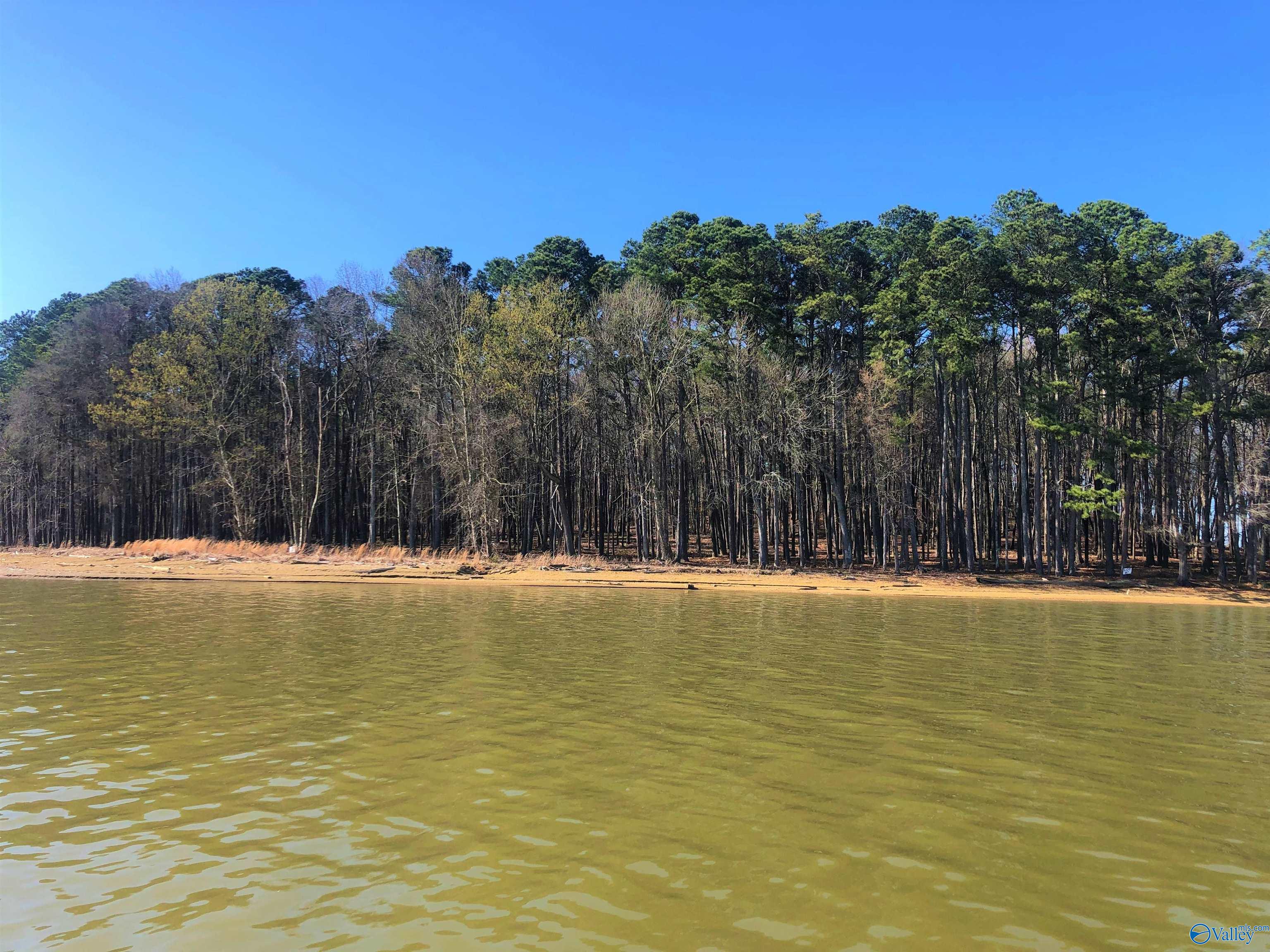 Lot 10 Little River Landing, Cedar Bluff, Alabama image 1