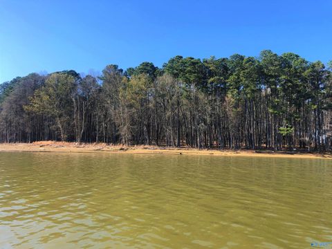Vacant Land For Sale - LOT 10 Little River Landing<br/> Cherokee County, Cedar Bluff, AL 35959