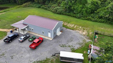 Homes For Sale - 705 Vines Street<br/> Arab, AL 35016