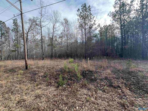 Vacant Land For Sale - 23 +/- ACRES Northwood Drive<br/> Cherokee County, Centre, AL 35960