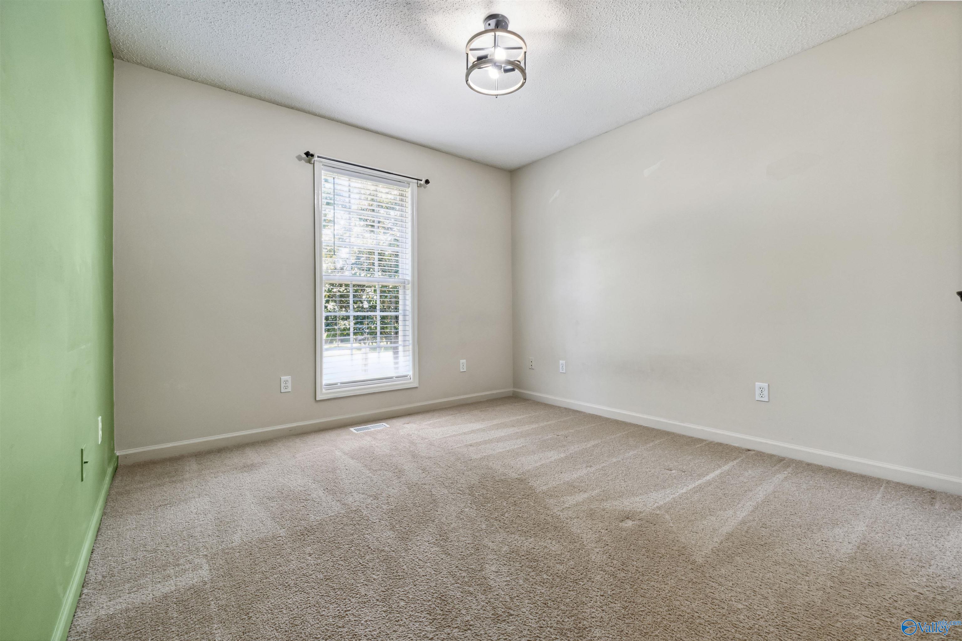 123 Turtle Ridge Drive, New Market, Alabama image 13