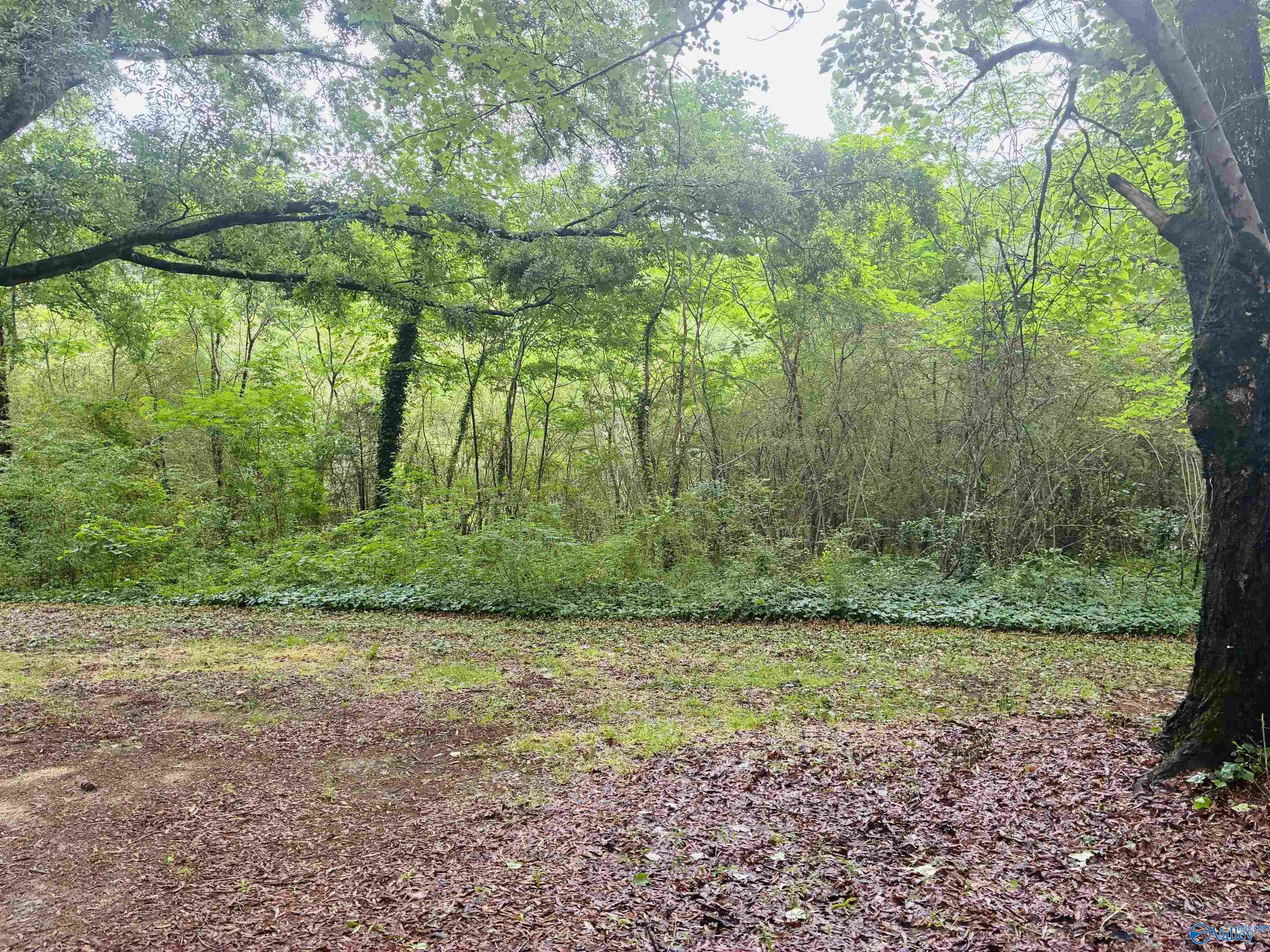 8014 County Road 109